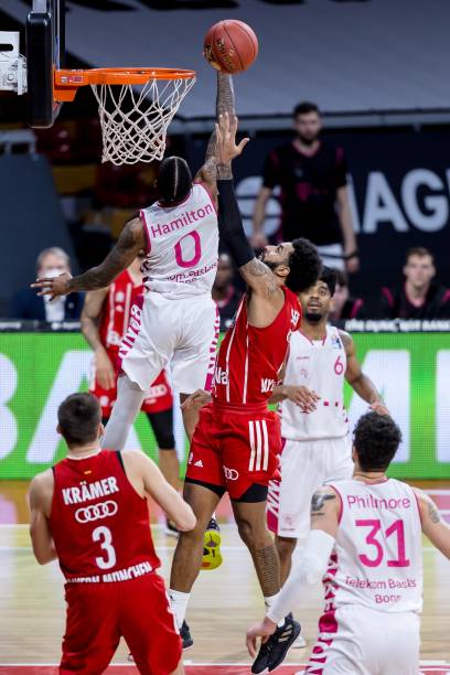 他们的假期 他们的假期