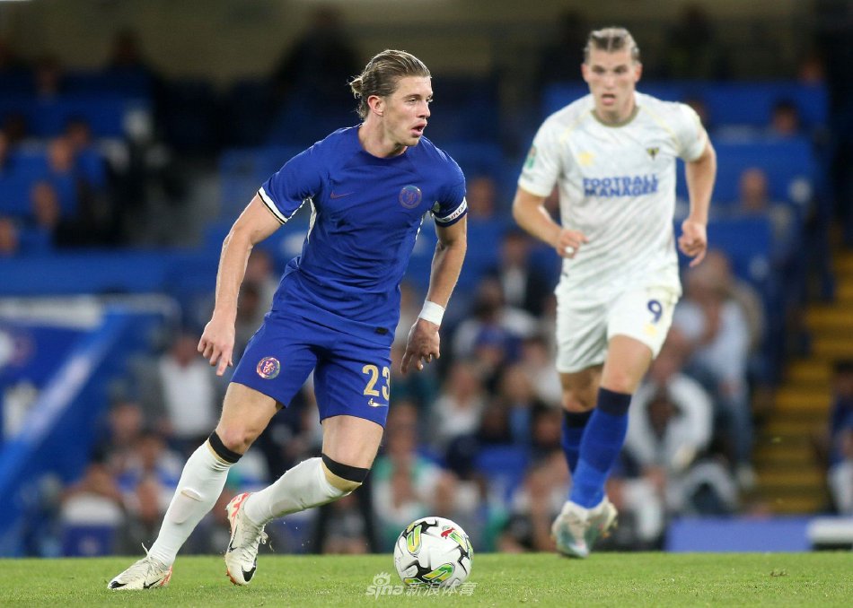 预测中的安 预测中的安